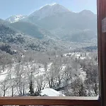 Rizoma بيت ضيافة Mikrón Khoríon
